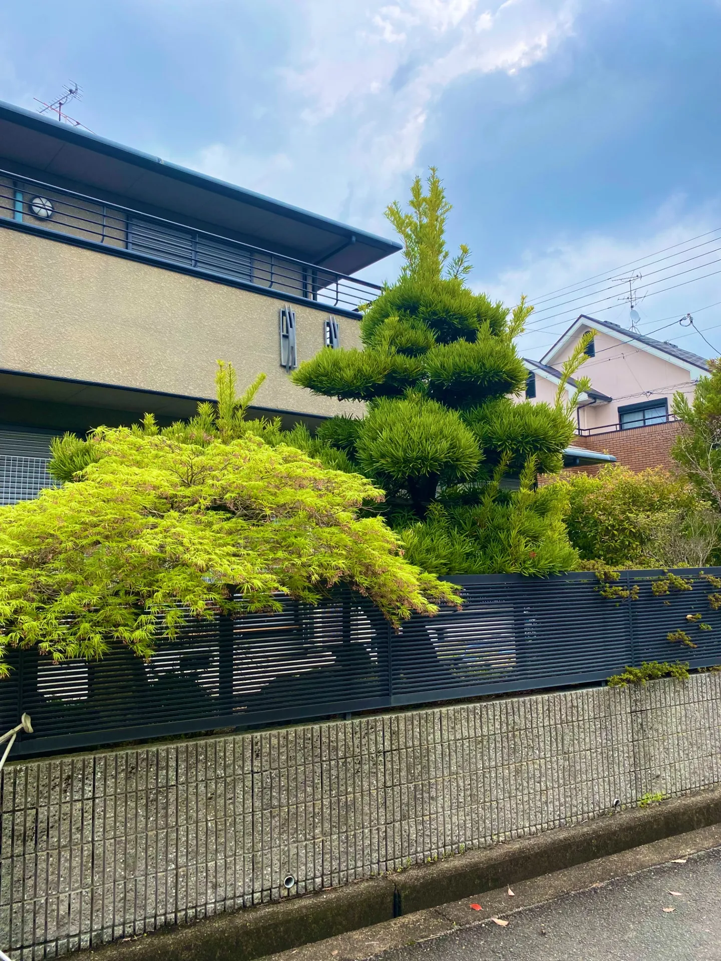 香芝市で剪定作業