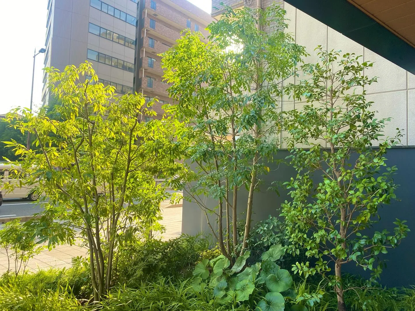 大阪市内でマンション管理